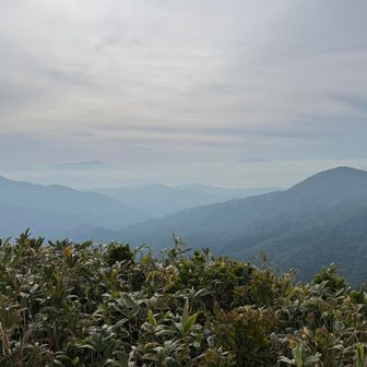 奥の方には雲海から少しだけ御嶽山？と乗鞍？見えてる