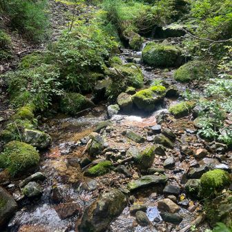 持ってきた3Lの水も、残りわずか😓💦

ここで川の水を浄水してゴクゴク💧
お腹、壊さんか心配だったけど大丈夫でした👌
