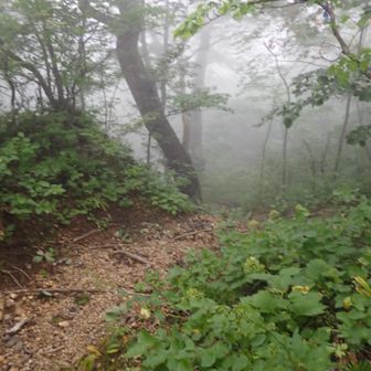 すごい沢だったなあ。なんかお腹いっぱい。