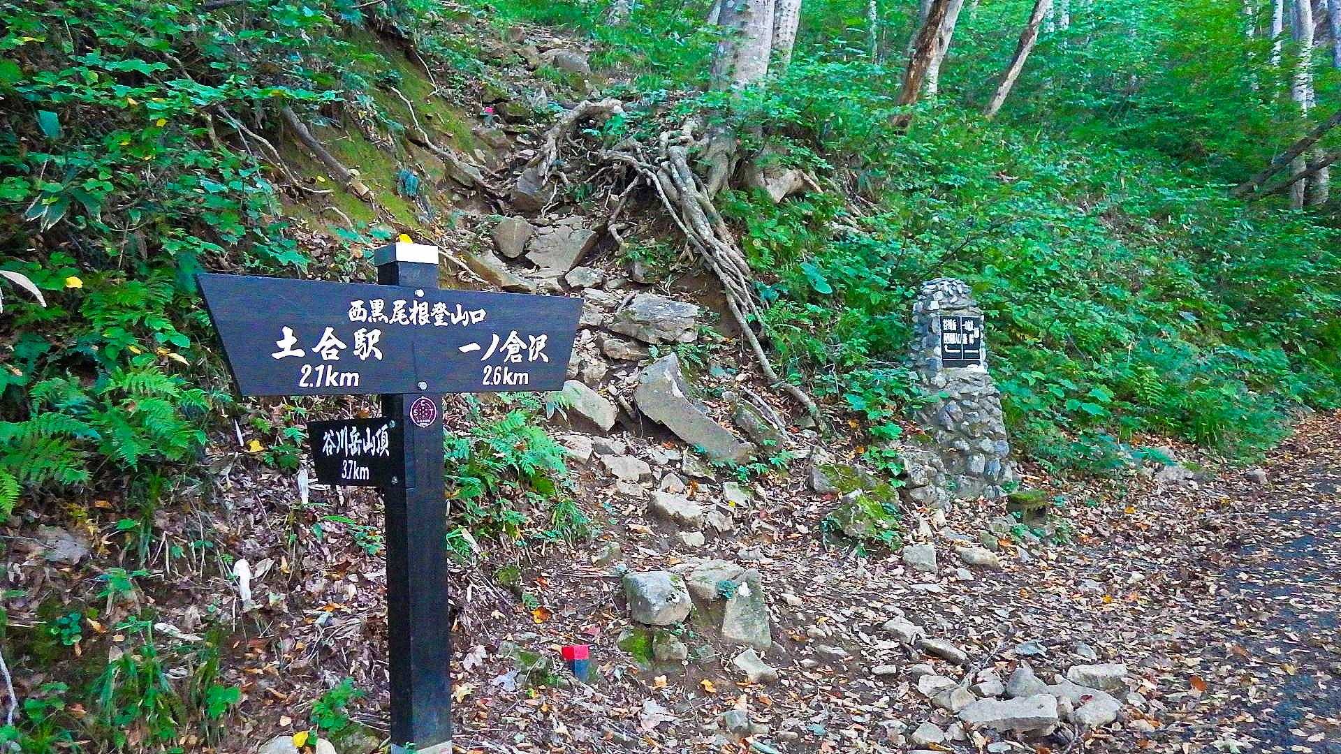 西黒尾根登山口
ここから谷川岳山頂まで3.7km標高差約1200ｍを登ります。
距離だけなら近い！？🤪