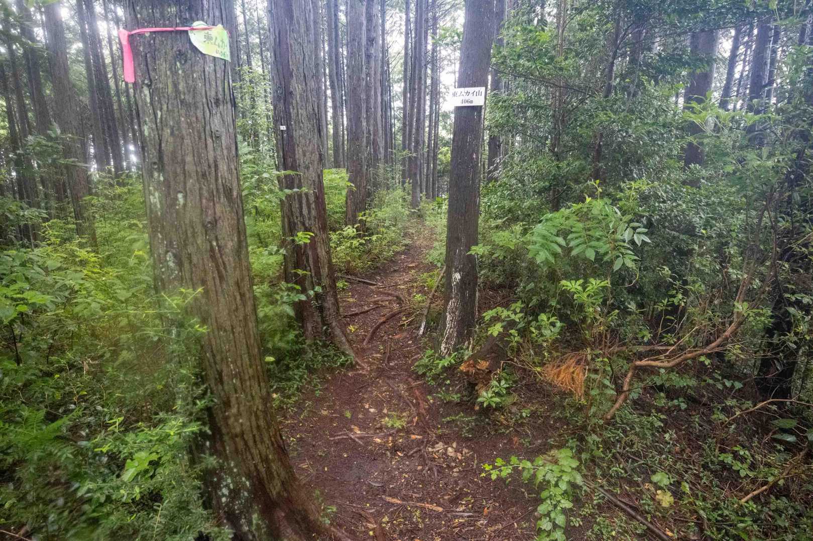 本日の最高地点、東ムカイ山