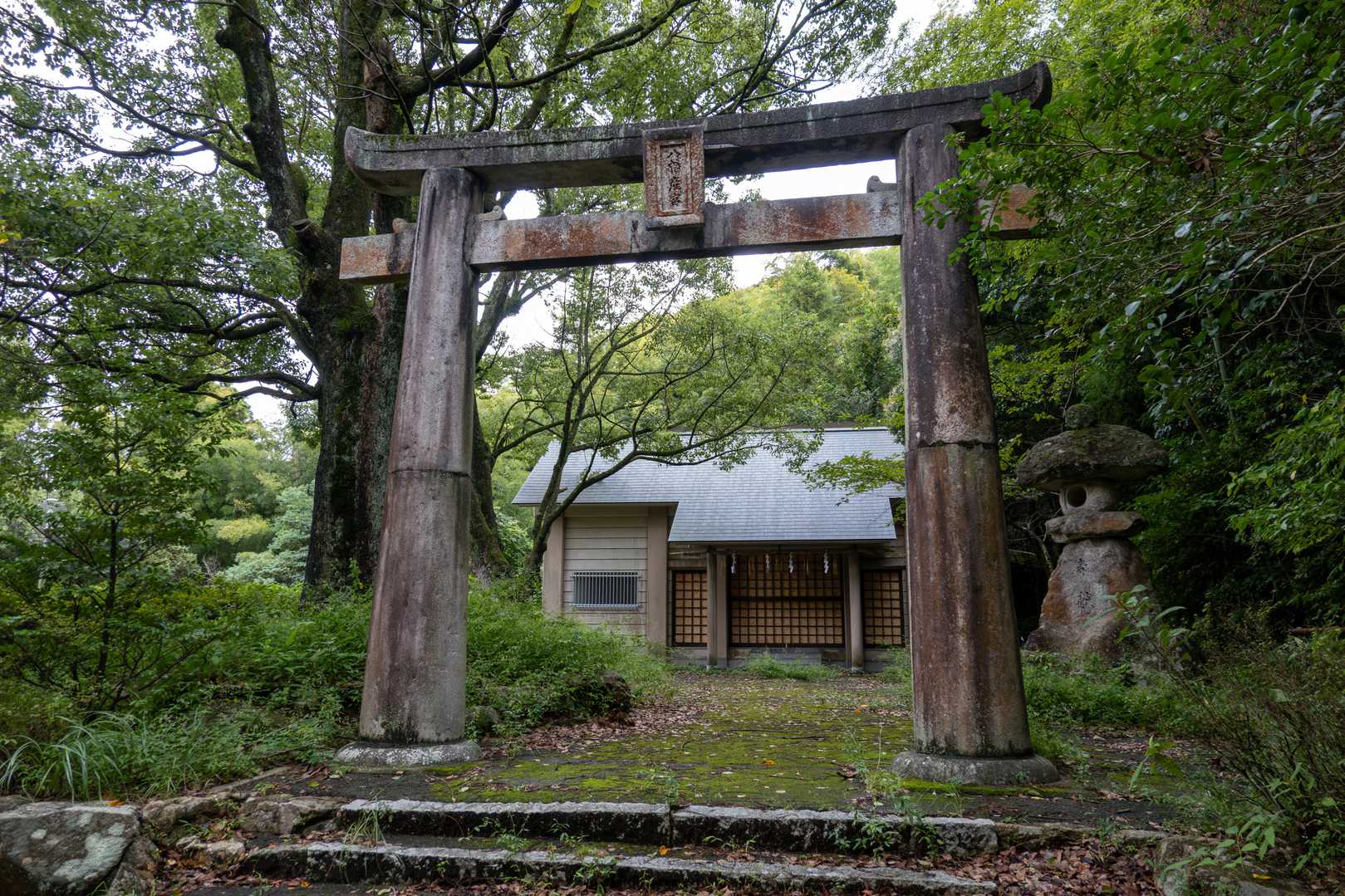 ＜行き＞
井野八幡宮に無事咲いているミヤマウズラが見れますようにと祈願

＜帰り＞
これからもずっと可憐な花を見せて下さい