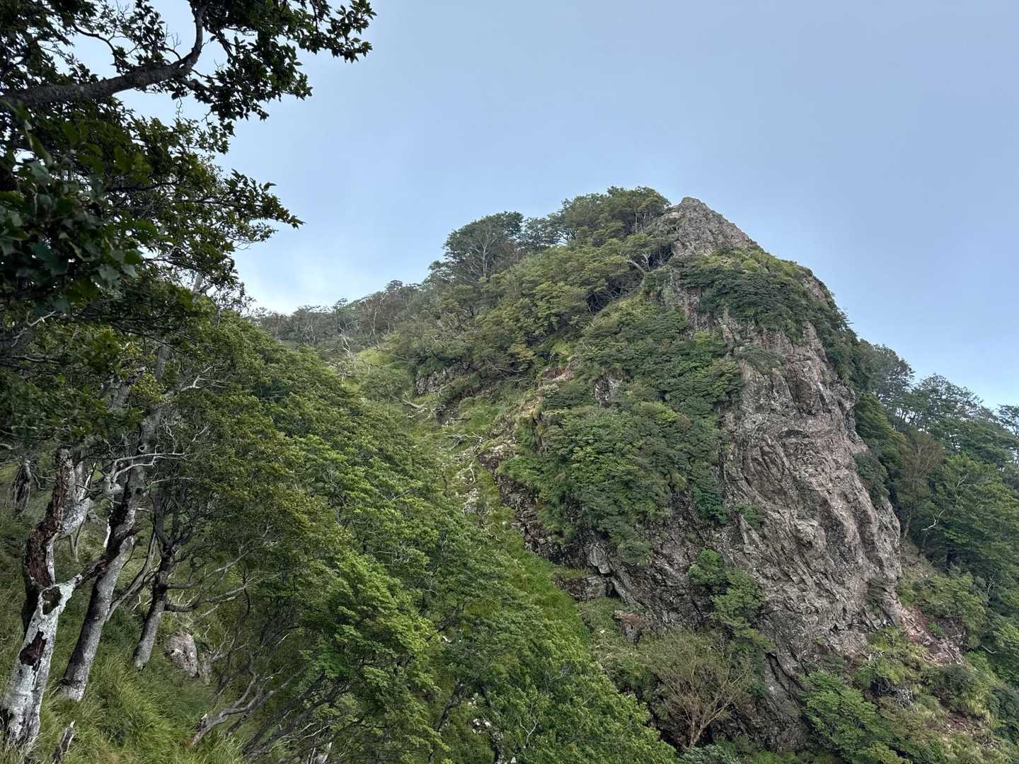 北谷登山口-風穴-祖母山 往復コースの写真