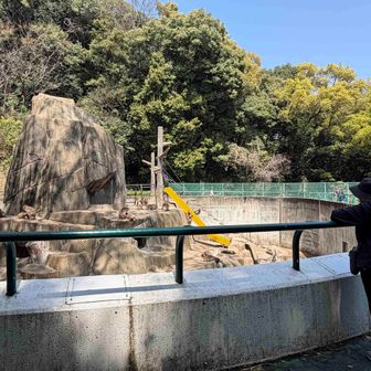 「ウチのどうぶつえん」～森下絵理香アナのナレーションが心地よく刺さります