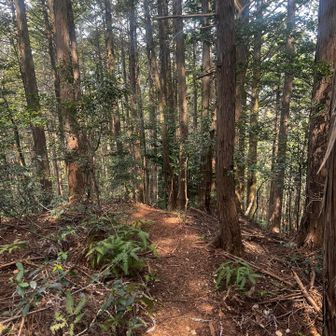 今日は歩くにも良い気候☀️