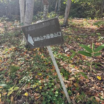 初めてのルートへ