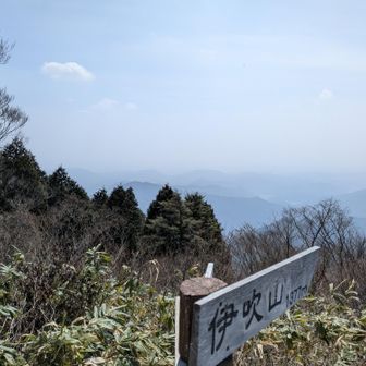 南。名古屋方向（中心方向ではない）、伊勢湾方向