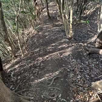 歩き易い道が続きます。