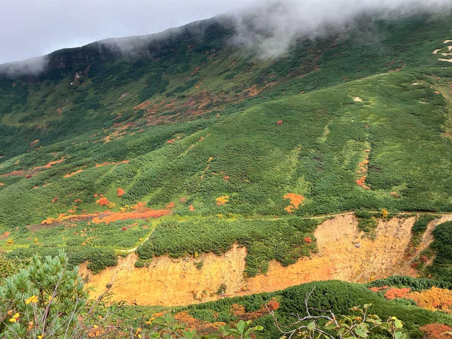 上ホロカメットク山 往復コースの写真