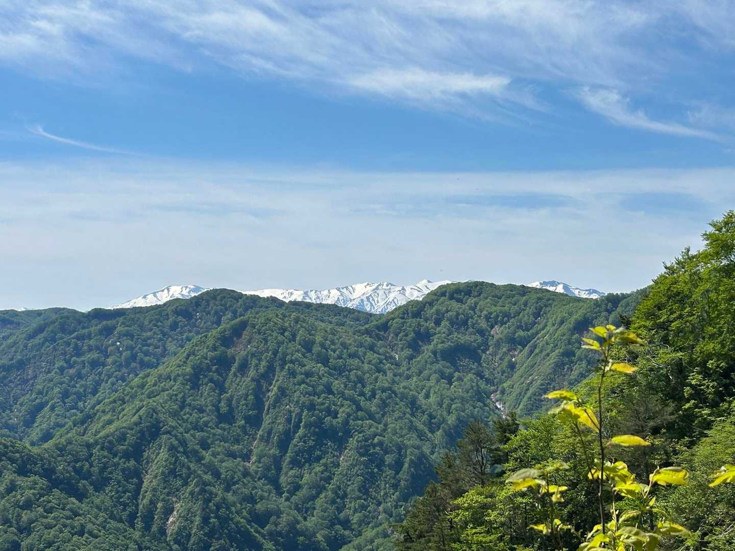 次の雷峰までは
少し飯豊連峰が見える場所もあり
また元気もらえました🙌