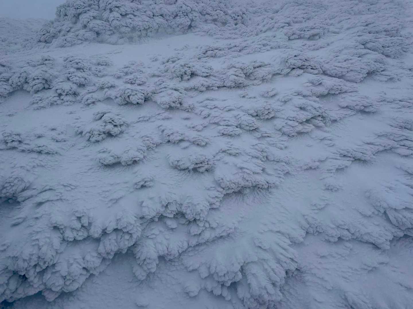爆風ゾーン
海老だらけ