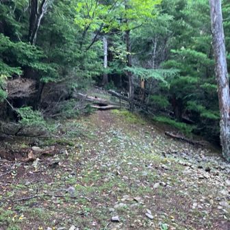 さぁ休まずGO！
尾根に出て陽の光を浴びると俄然やる気が出てきましたよ、勇者体質だから…
（アンタ何言ってるの？）