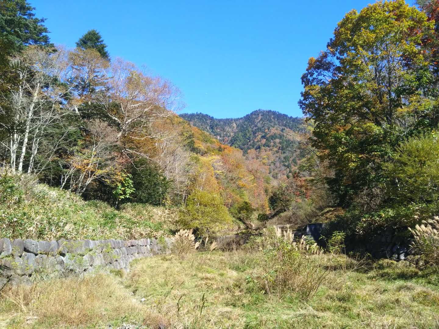 湯沢峠方面
こっちから下ってくる予定でした
