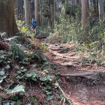 今日は国見山・交野山に向かう人が多い
前を行くグループも私も分岐を行き過ぎて大所帯で戻ることに😅
居合わせたトレランの方が丁寧に道案内してくださり、颯爽と去っていった🏃‍➡️