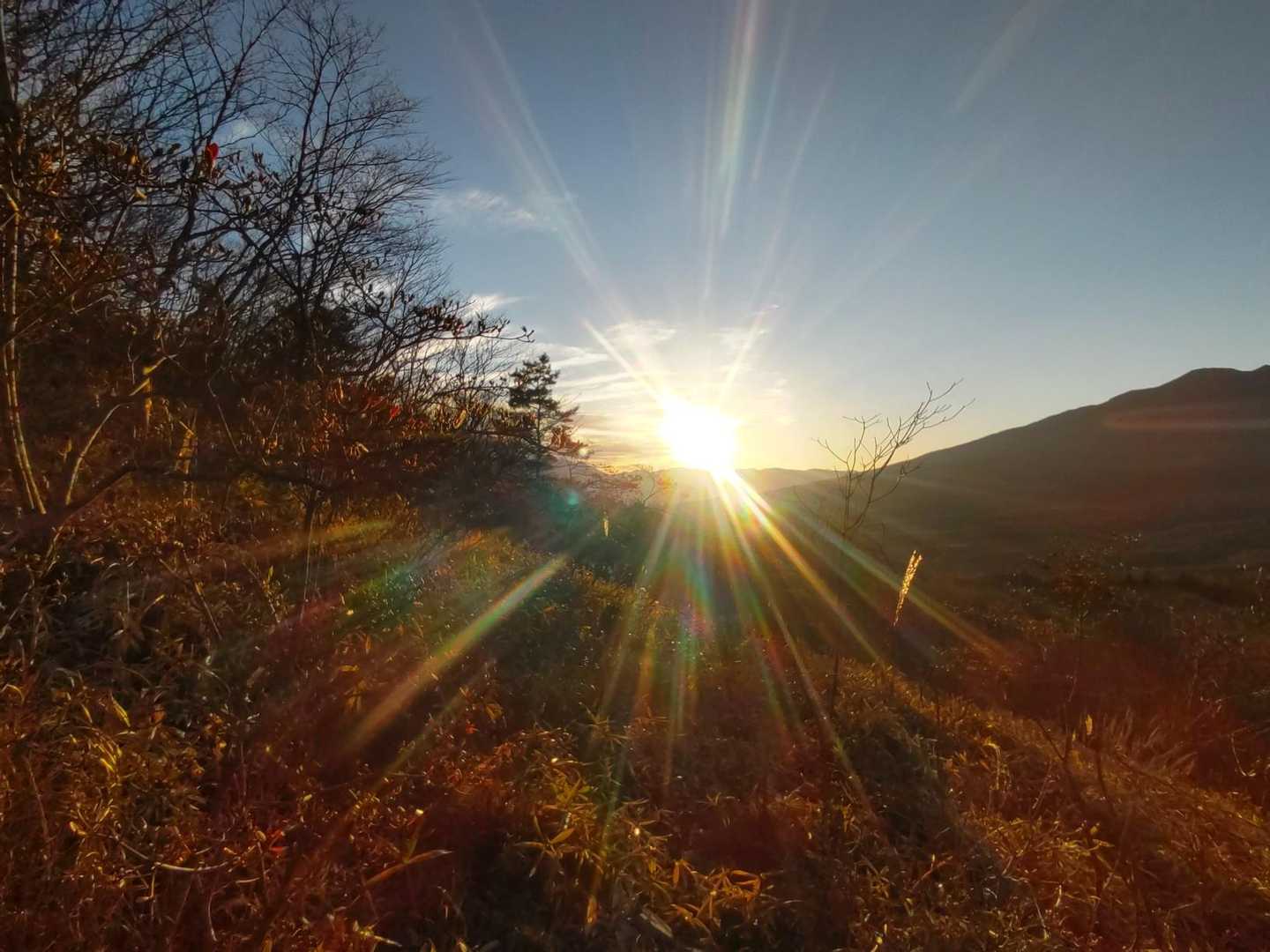 しし岩登山口-平沢山 往復コースの写真