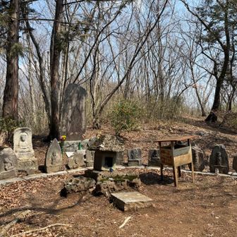 山頂はここでは無いらしい…