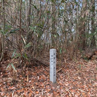 落葉山
手前が少し細尾根歩き