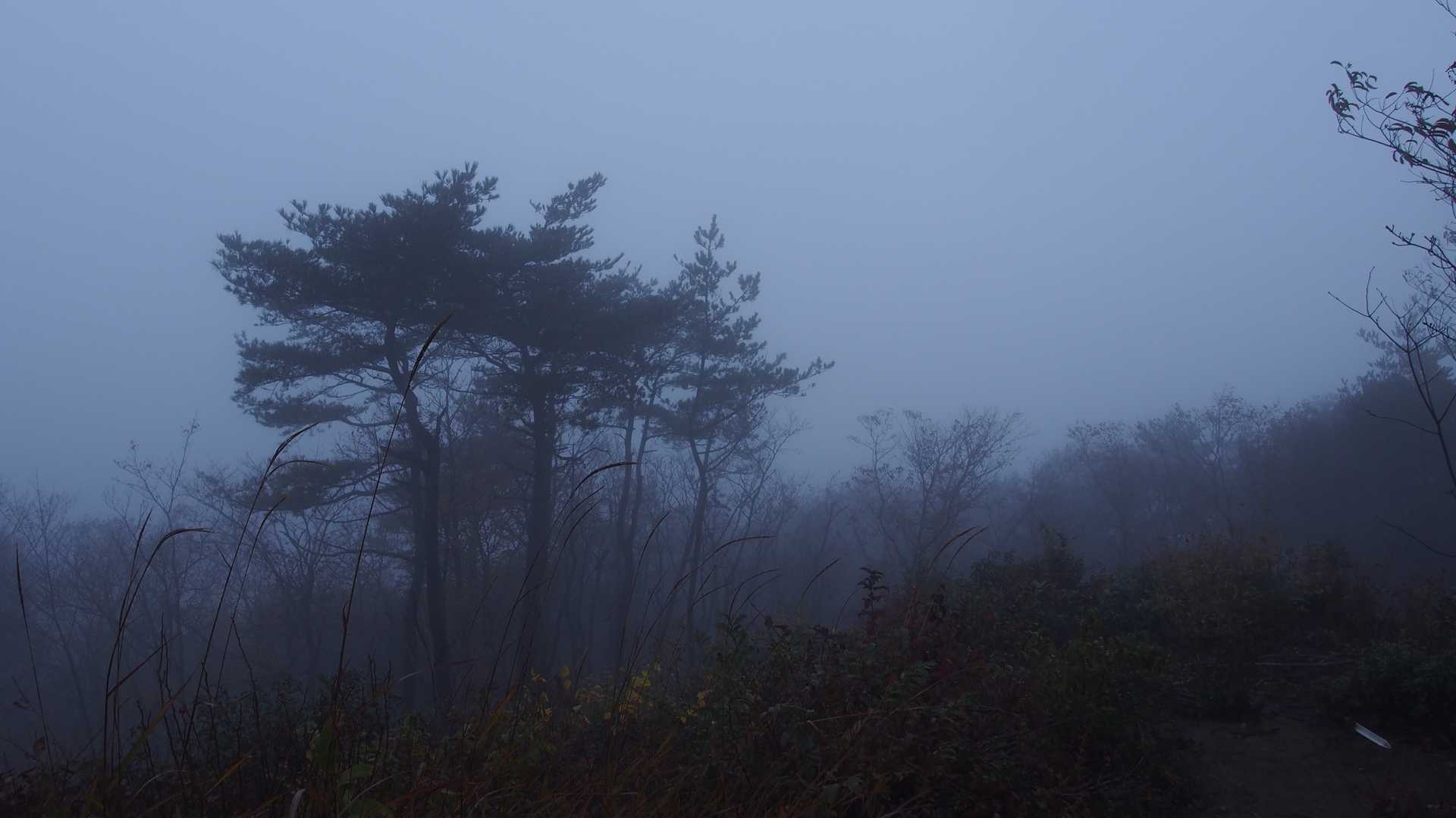 玉峰山 周回コースの写真