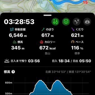 南登山口まで降りるともっと鞍部っぽくなるね…🤩