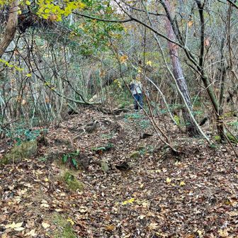 あと少しゆっくりでいいから頑張れー
芦屋ゲートに奥さんが車で迎えに来てくれるとのこと