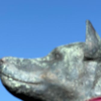 月と犬