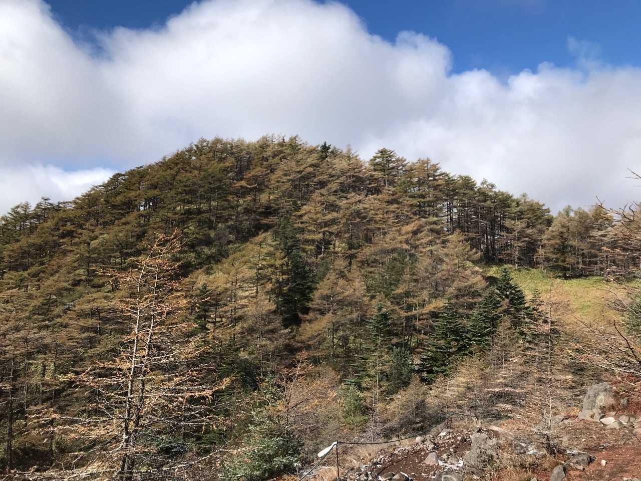 車坂山です。