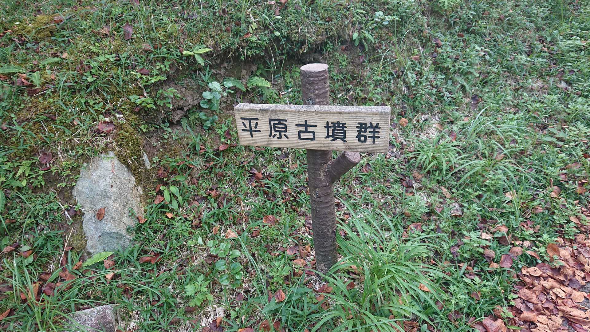 なるほど、そう言うことね