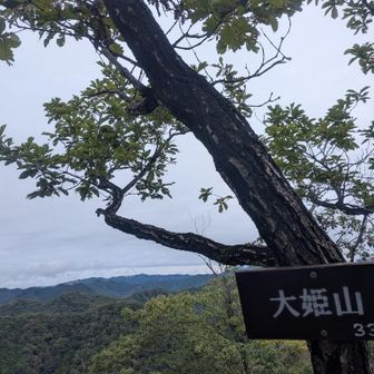 大姫山