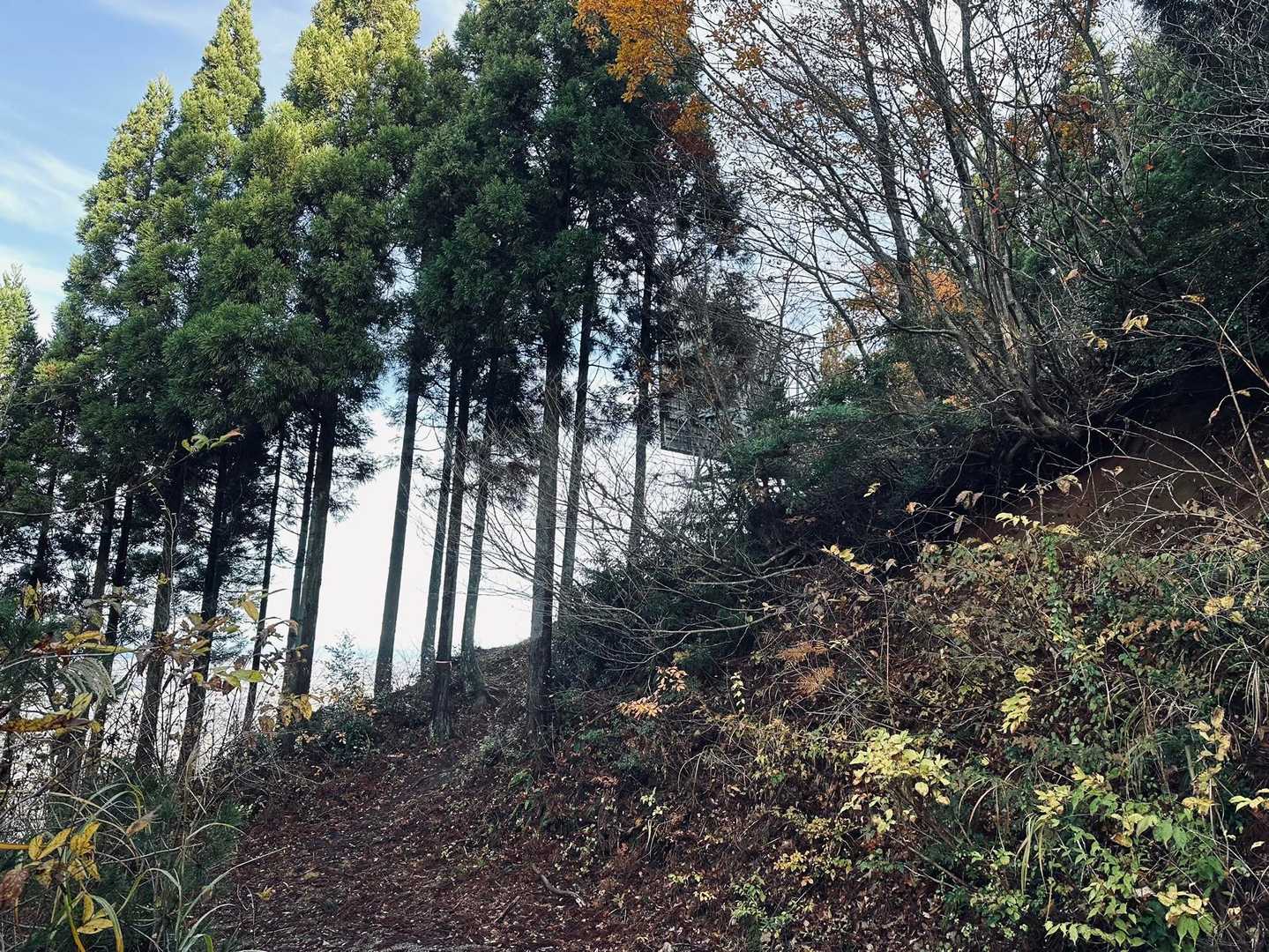 大乗悟山登り口-大乗悟山-笹津山 周回コースの写真