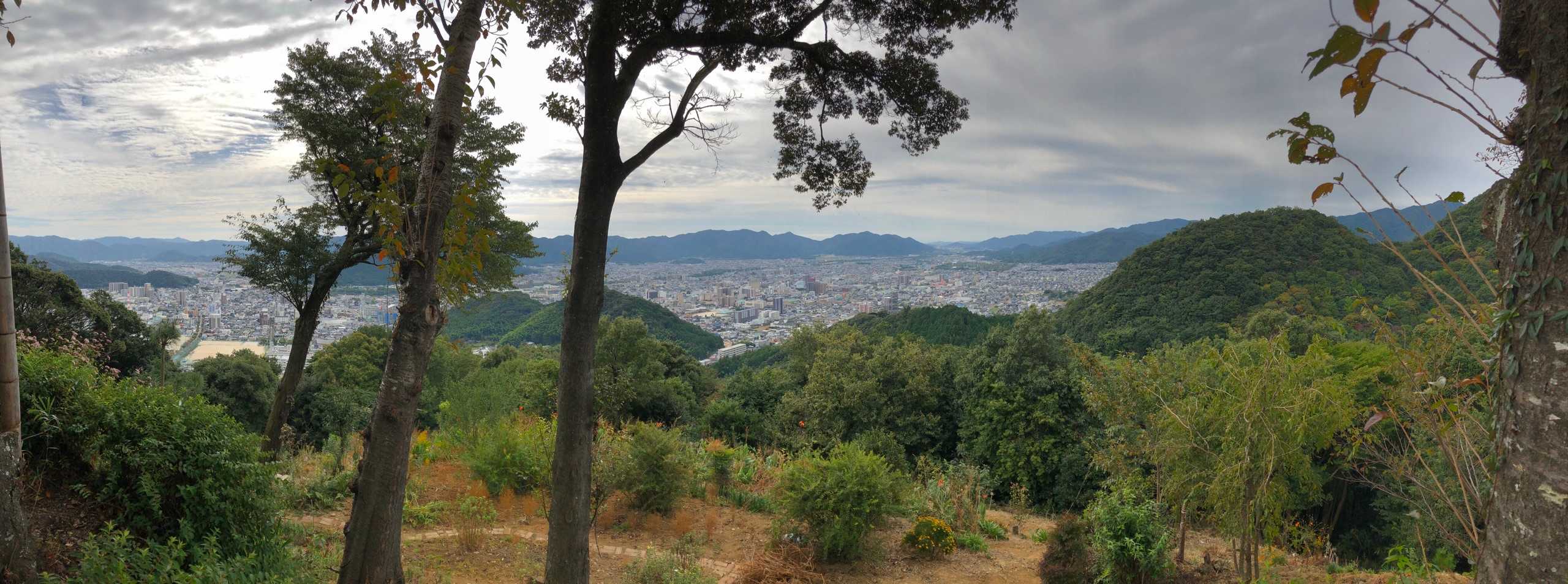 鴻ノ峰 周回コースの写真