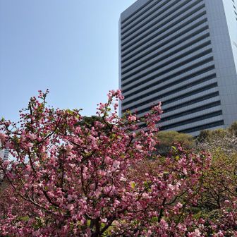 よいアングルです。