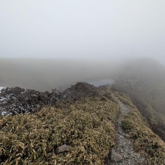 下ってきて、雪渓と池‥
あそこに小屋があるはず。すてきな写真をよくレポで見てたけど‥ガスの中だ。
山頂からこちらも笹露がひどい😂絞った意味〜！そして小屋はおそらく無人。