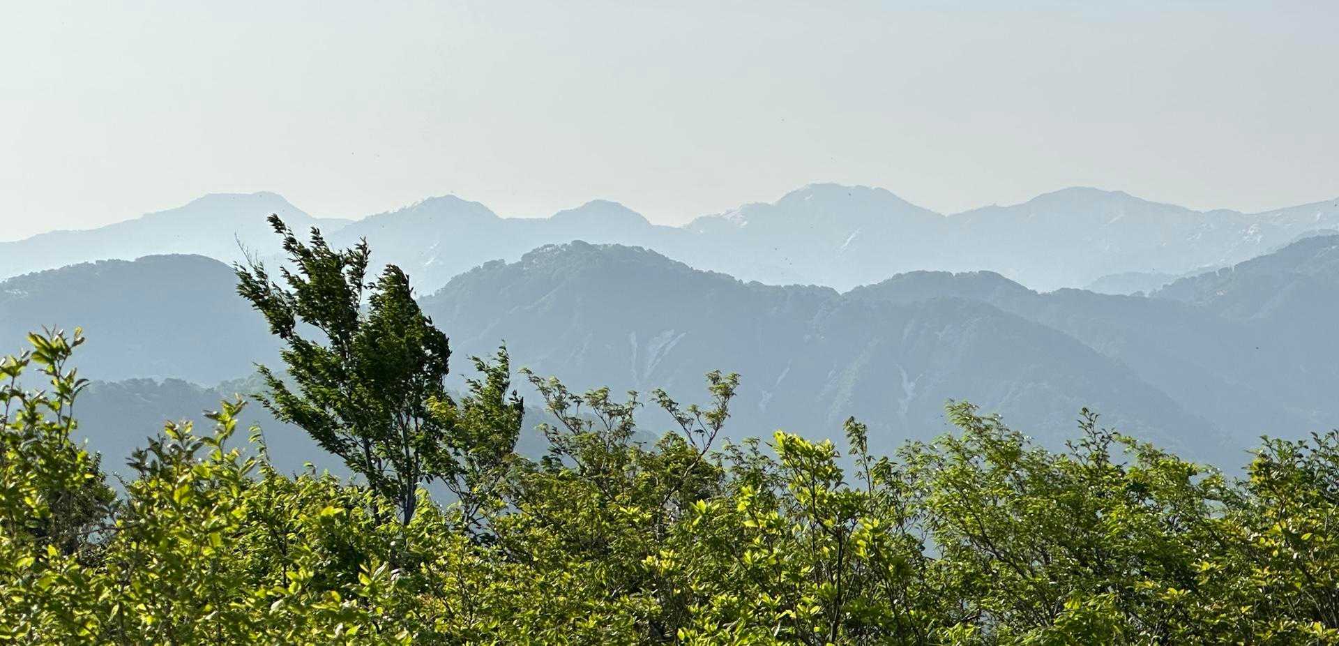 奥獅子吼山 往復コースの写真