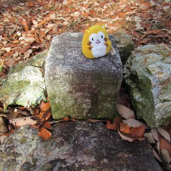 三角点みっけ！