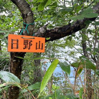 🔺日野山山頂✨