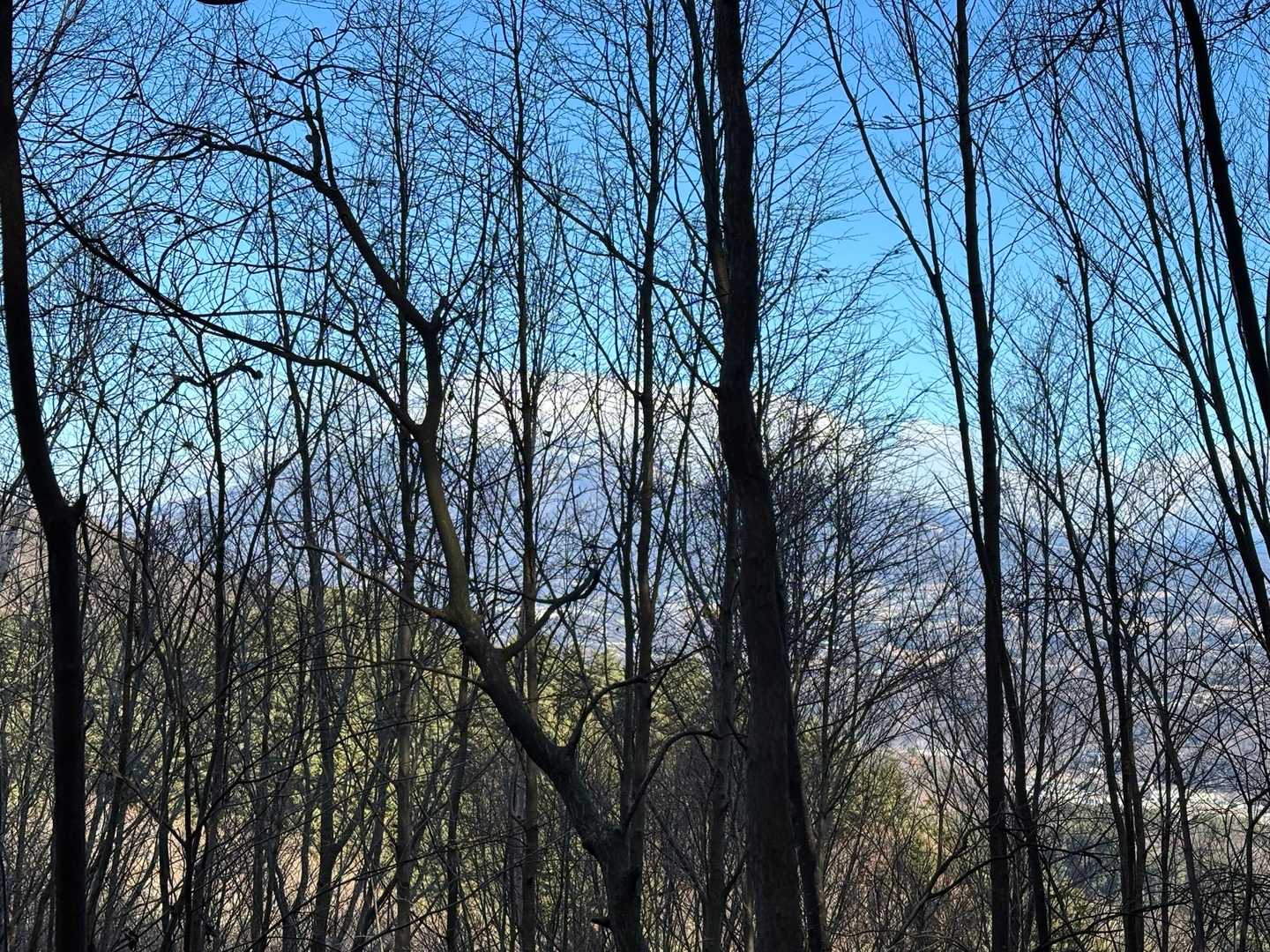 八ヶ岳が見えるよ〜
今日も雲が乗ってます☁️