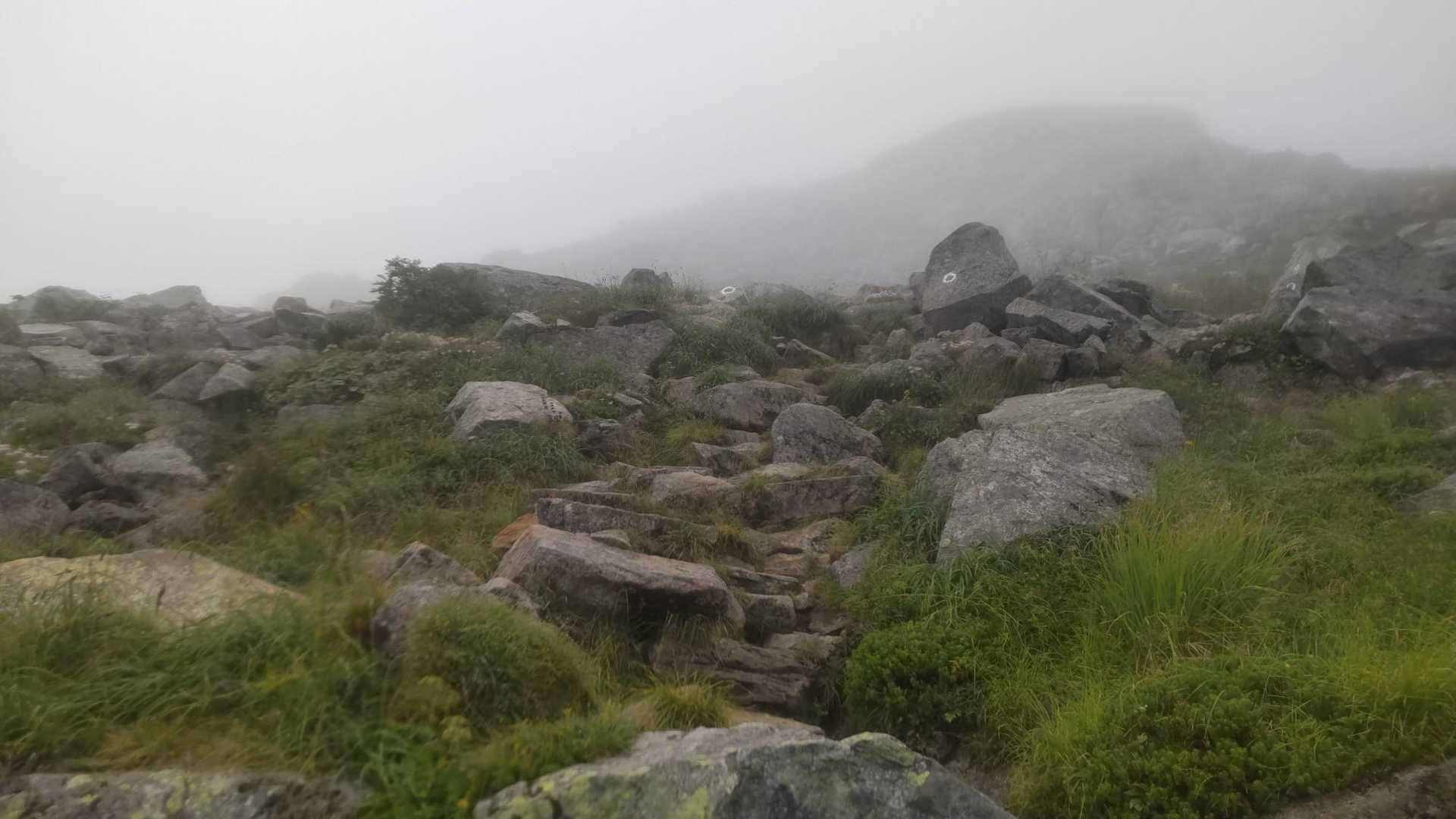 諦めて下山💦