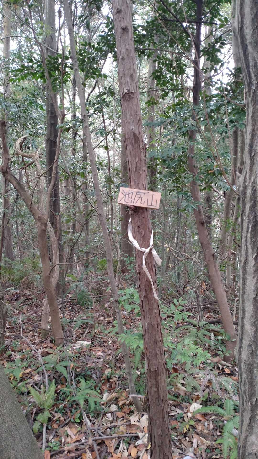 池尻山 4座目