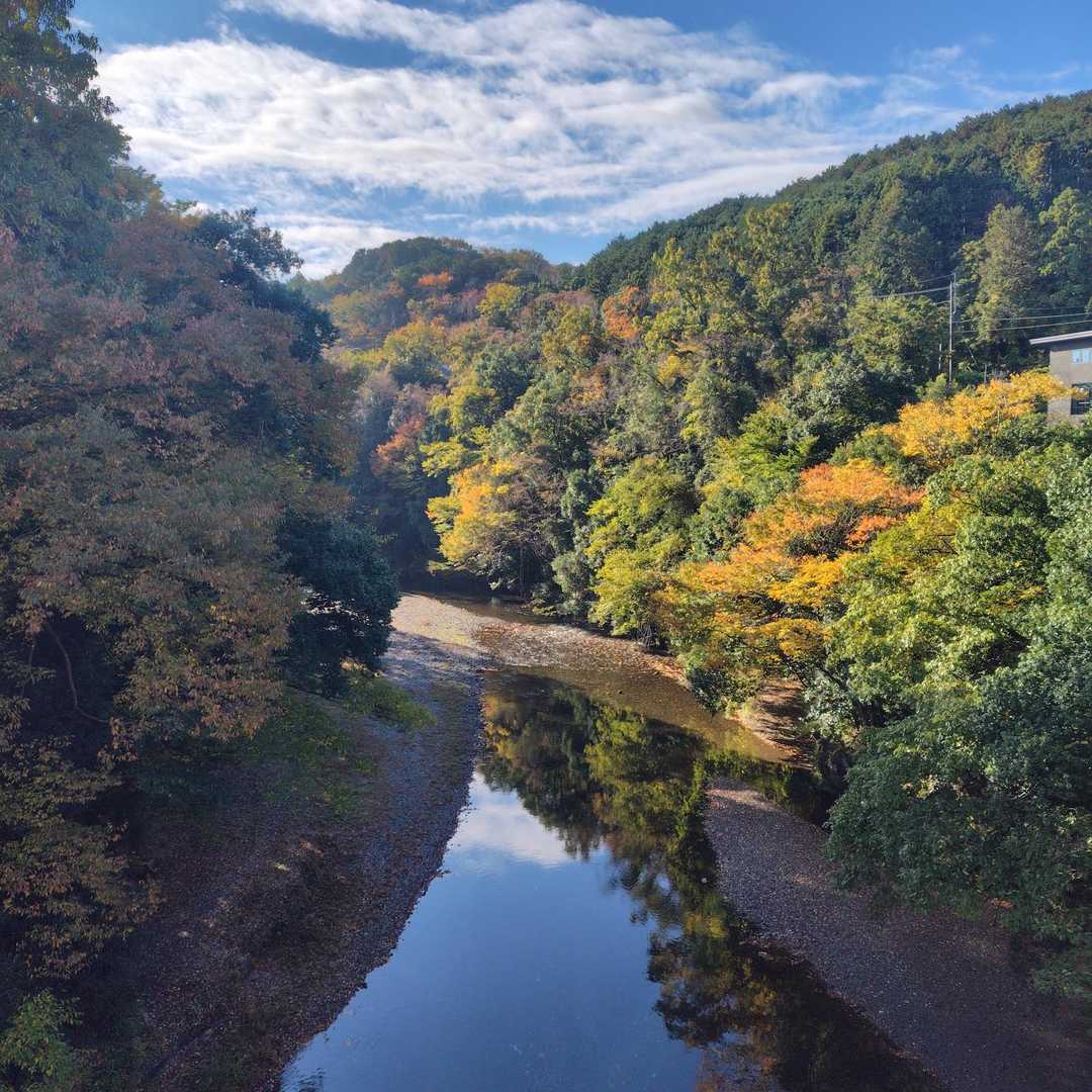 飯能駅-天覧山-天覧山 往復コースの写真