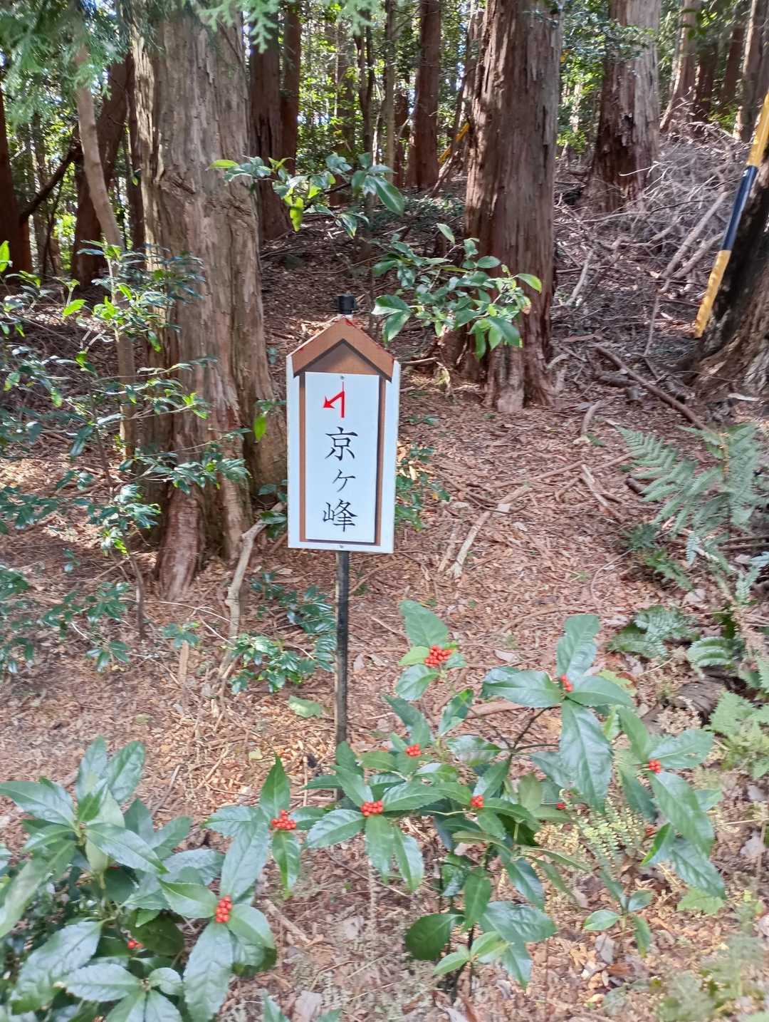 渭信寺-京ヶ峰 周回コースの写真