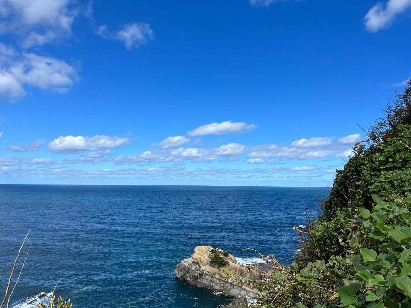 賀嶋山 往復コースの写真