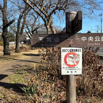 お墓参りに行くとだいたいセカンドキッチンハマさんでランチ😋
いつもはそのままさっさと実家へ戻るのですが、天気も良かったので、天覧山に山歩しようと急に思い立ち