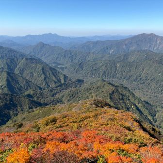 紅葉の絨毯が素晴らしい鈴振尾根
改めて来てよかった祝瓶山！
