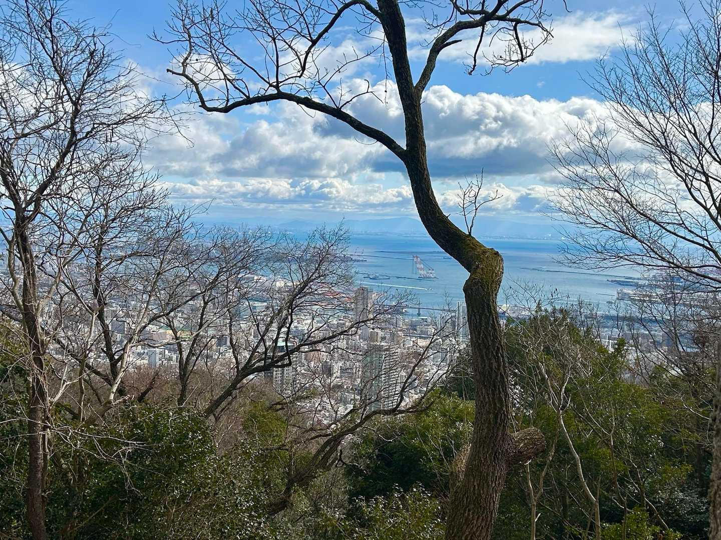 眺め良き✨