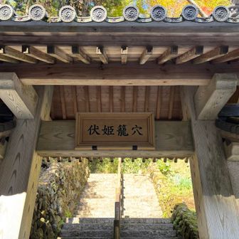 入口が立派すぎる