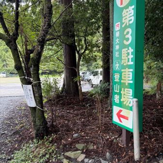 今日はここで
なぜか駐車場にたくさん🦌の💩