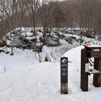 ココからスタート