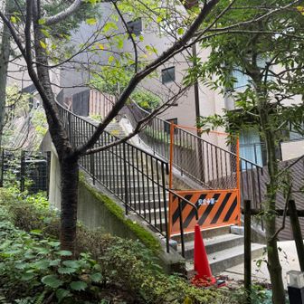 私有地だからダメになったんだろうか