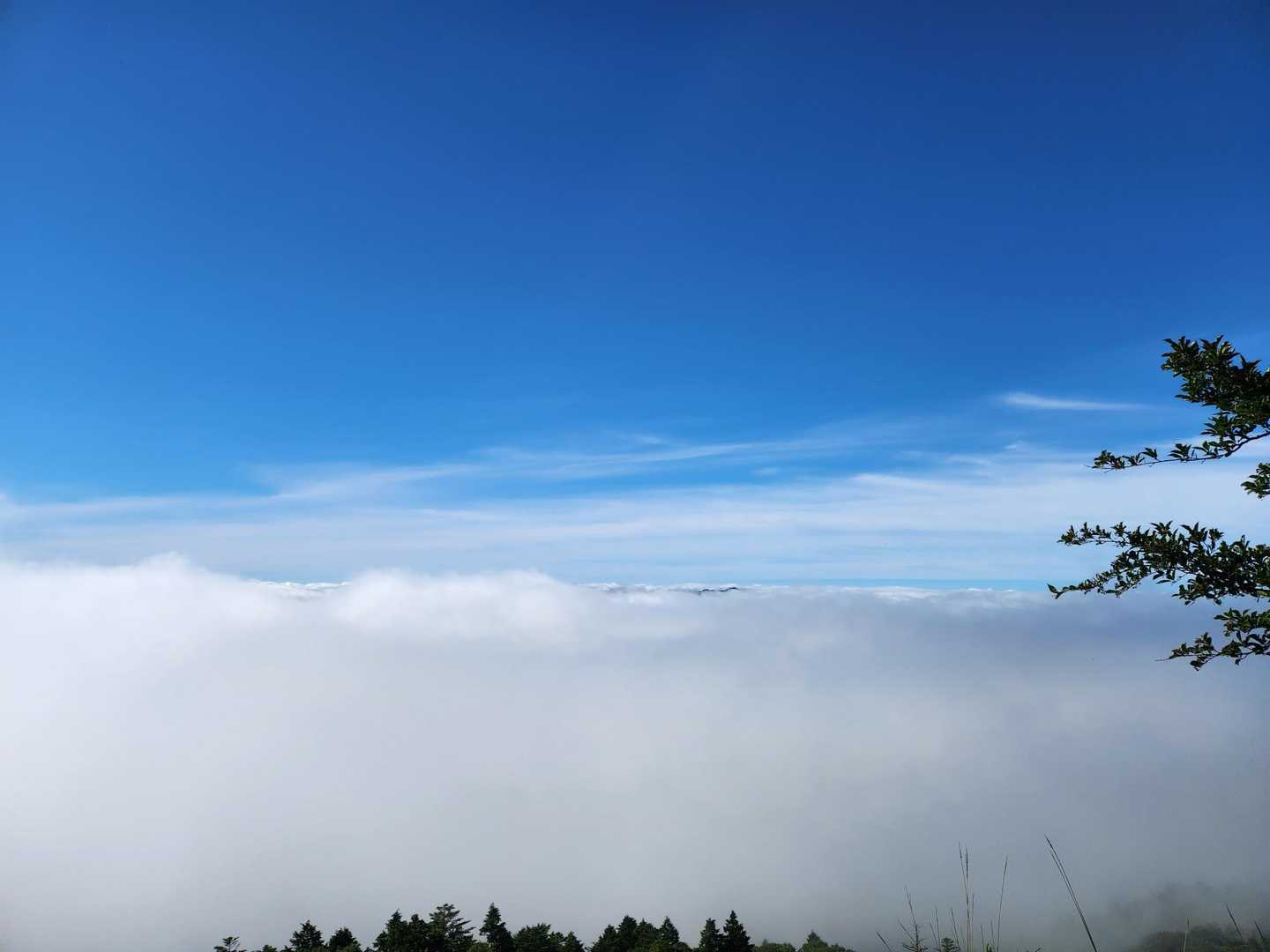 高知方面は雲海が凄い❗稲叢山？が少し見えるほど
