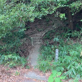 ここまで来るのに、四苦八苦